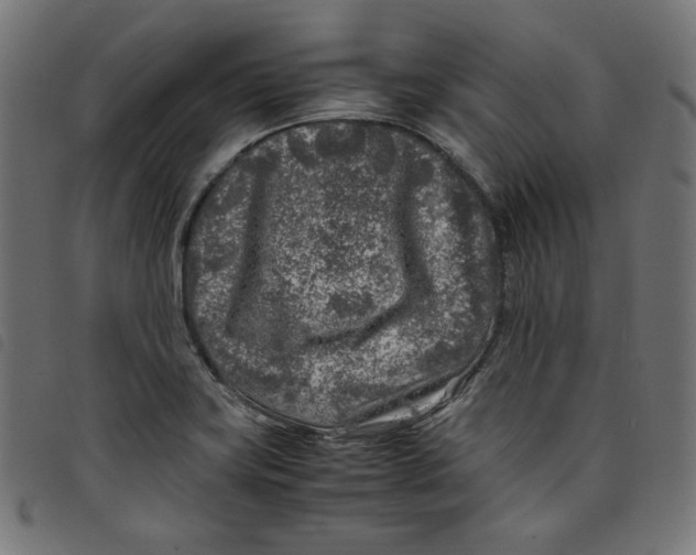 X0000098121419200804251441