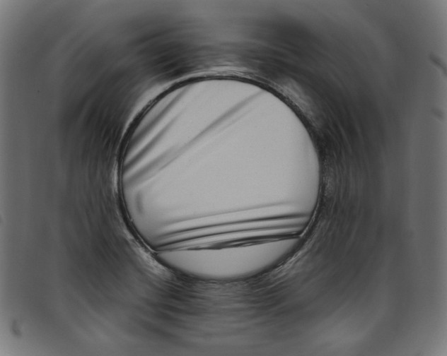 X0000098121420200804251441