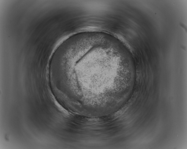 X0000098121421200804251441