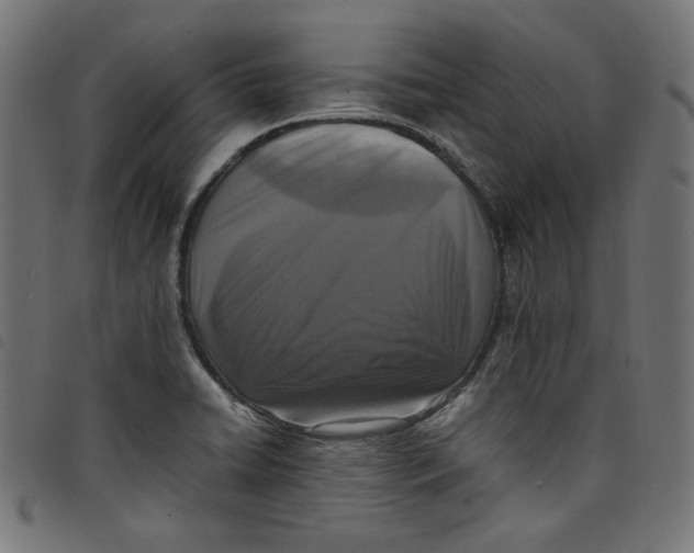 X0000098121422200804251441
