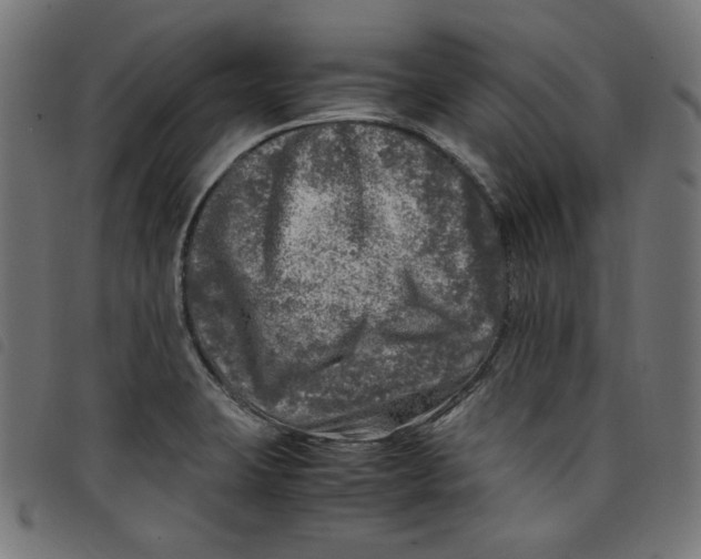 X0000098121423200804251441