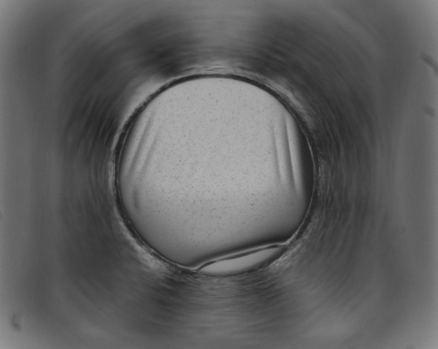 X0000098121424200804251441