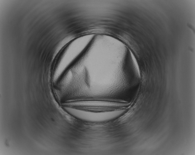 X0000098121426200804251441