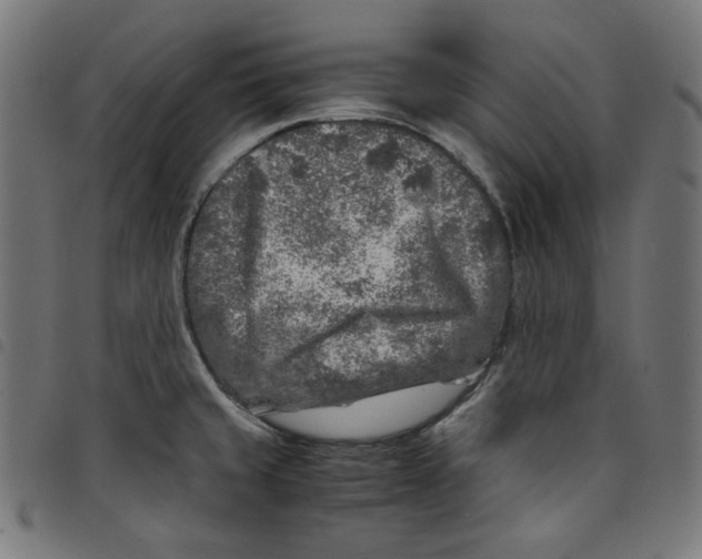 X0000098121429200804251441