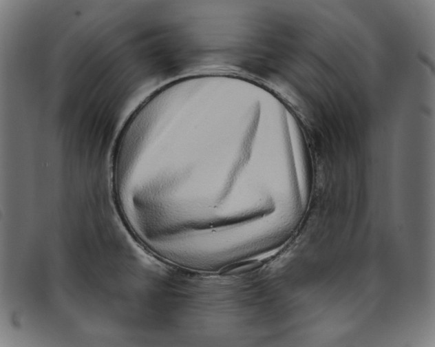 X0000098121430200804251441