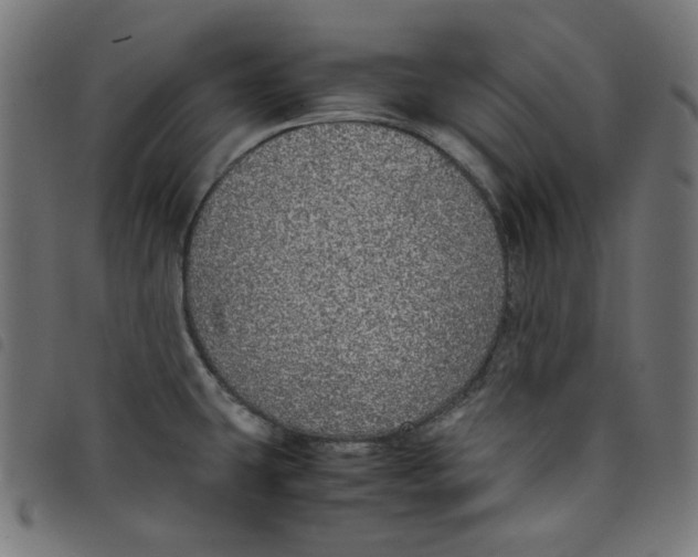 X0000098121431200804251441