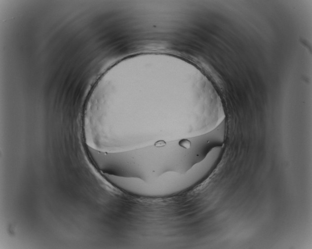 X0000098121432200804251441