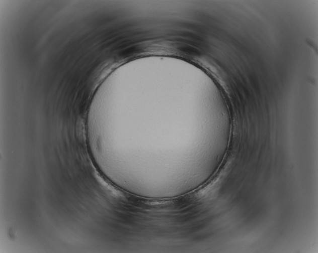 X0000098121433200804251441