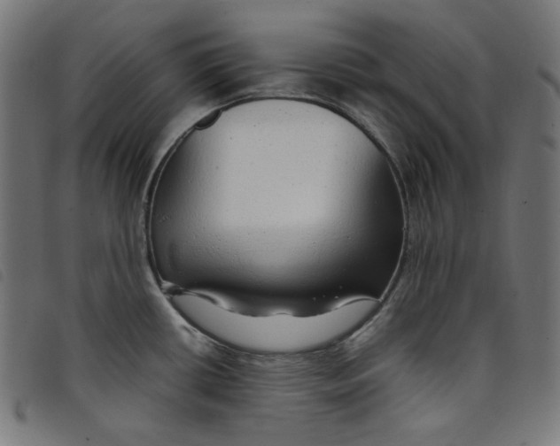 X0000098121434200804251441