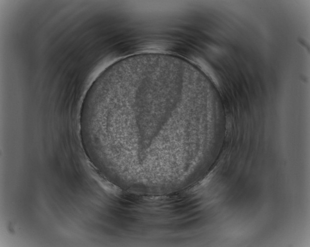 X0000098121435200804251441