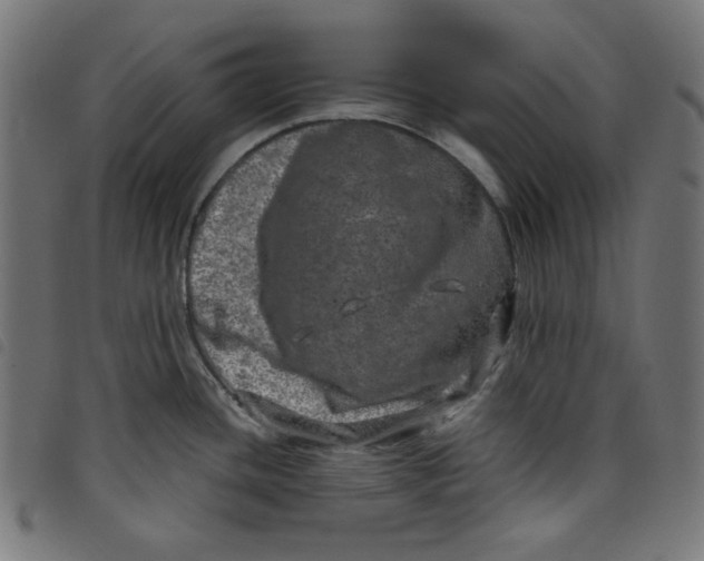 X0000098121436200804251441
