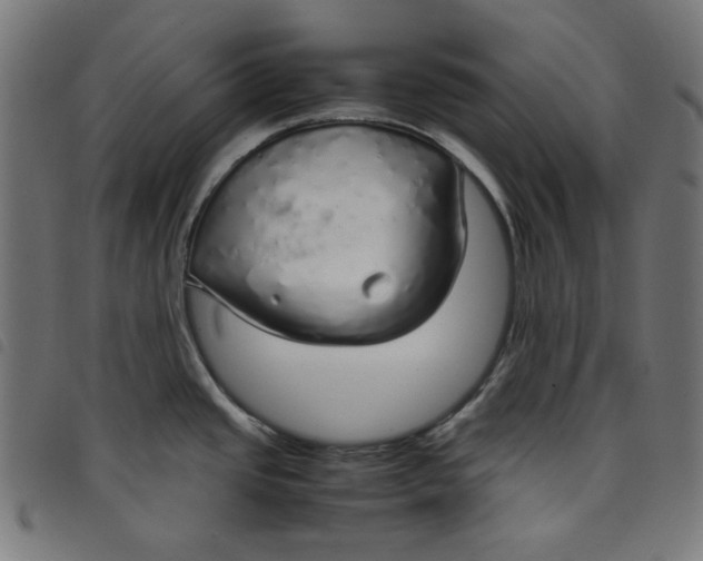 X0000098121437200804251441