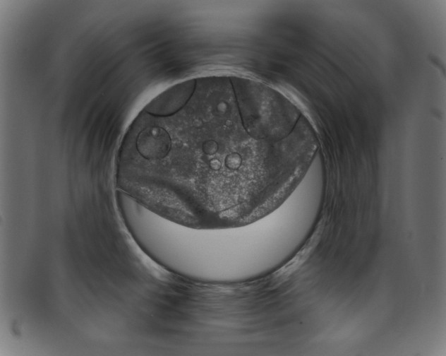 X0000098121438200804251441