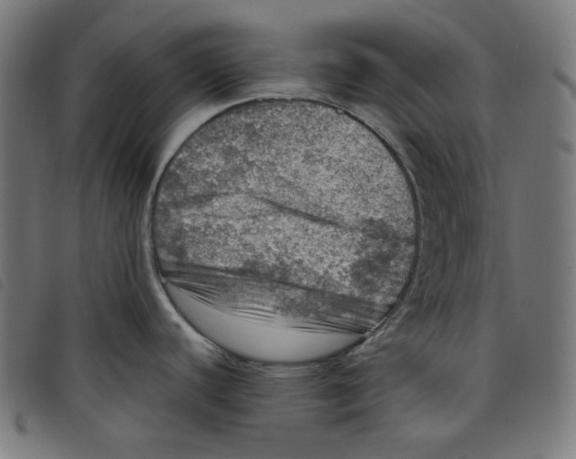 X0000098121440200804251441