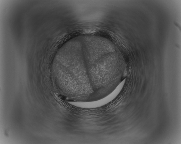 X0000098121441200804251440