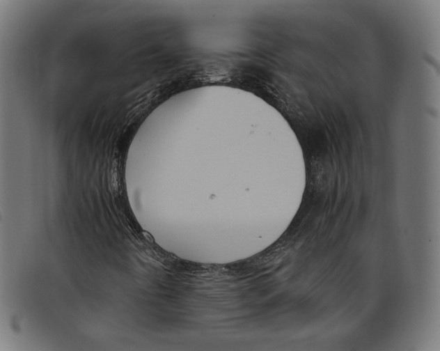 X0000098121442200804251440