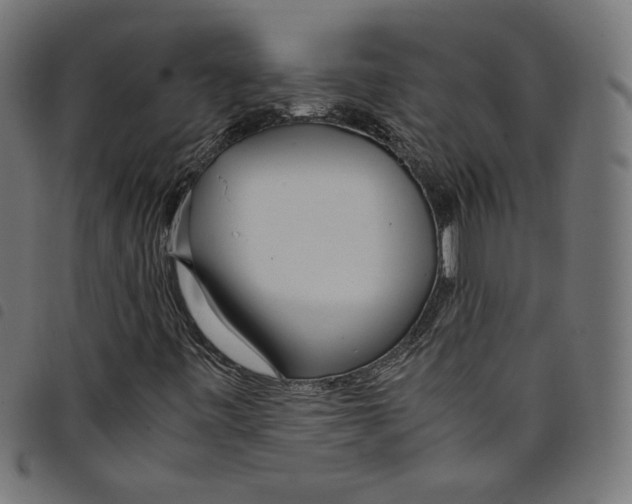 X0000098121443200804251440