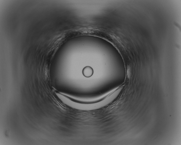 X0000098121444200804251440