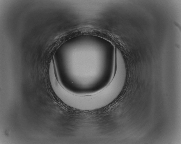 X0000098121445200804251440