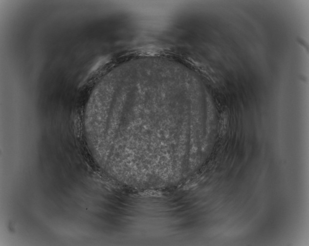 X0000098121446200804251440