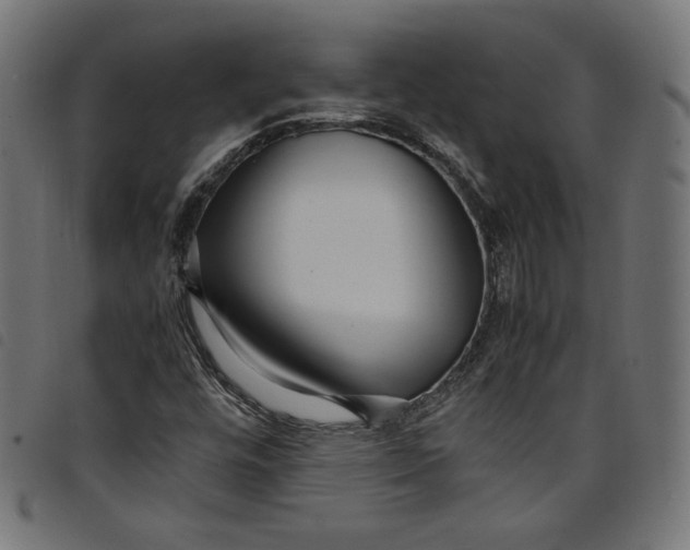 X0000098121448200804251440
