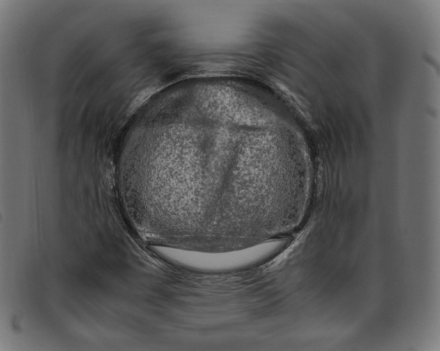 X0000098121449200804251440