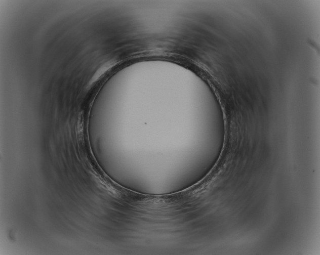 X0000098121450200804251440