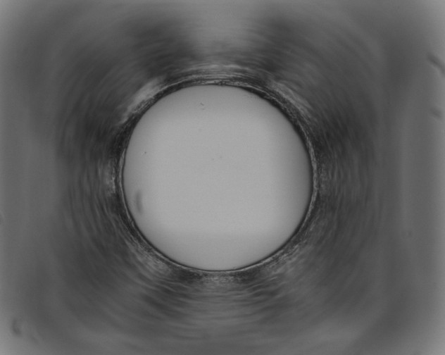 X0000098121451200804251440