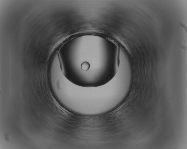 X0000098121452200804251440