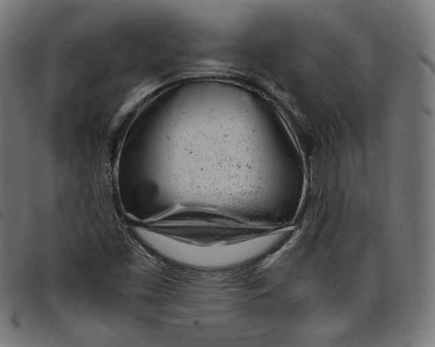X0000098121453200804251440