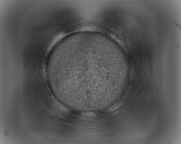 X0000098121454200804251440
