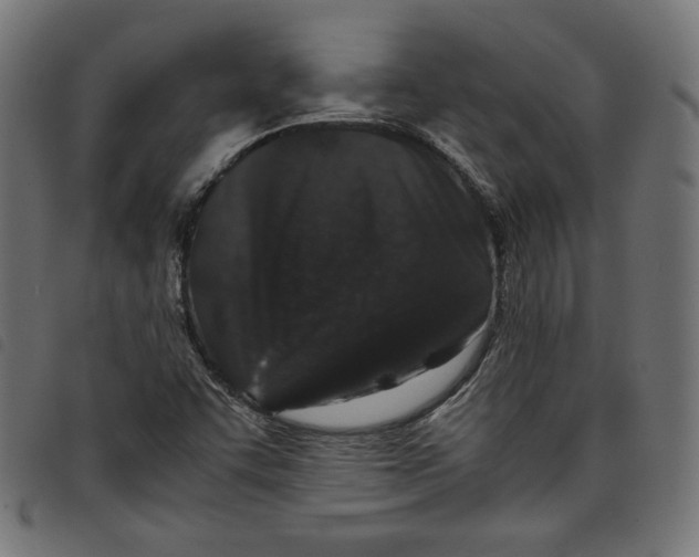 X0000098121455200804251440