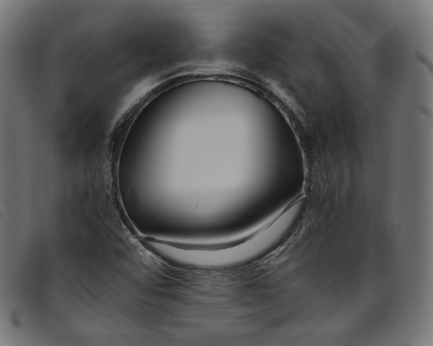 X0000098121456200804251440