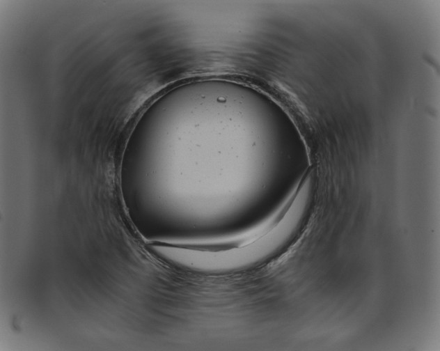 X0000098121457200804251440