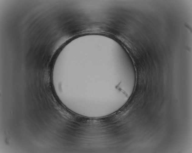 X0000098121458200804251440