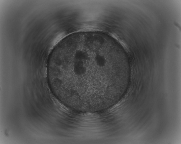 X0000098121459200804251440