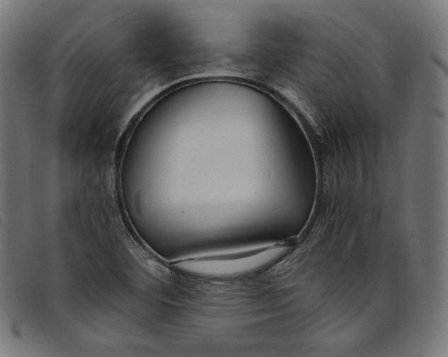 X0000098121460200804251440