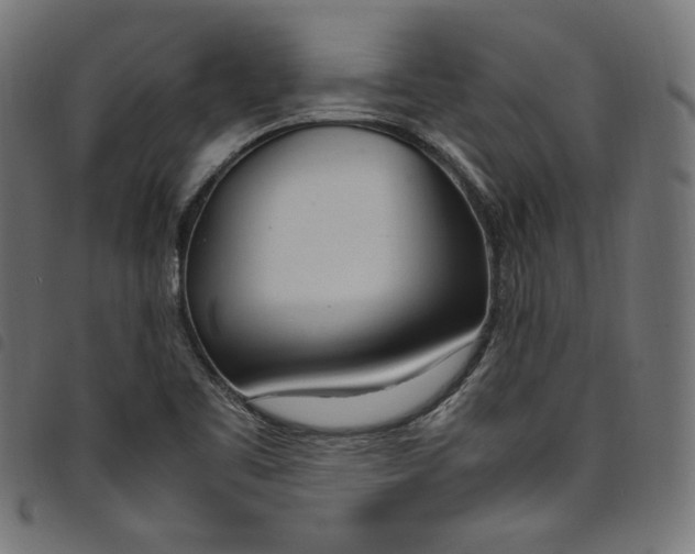 X0000098121461200804251440