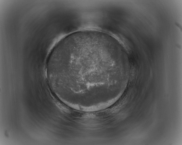 X0000098121462200804251440