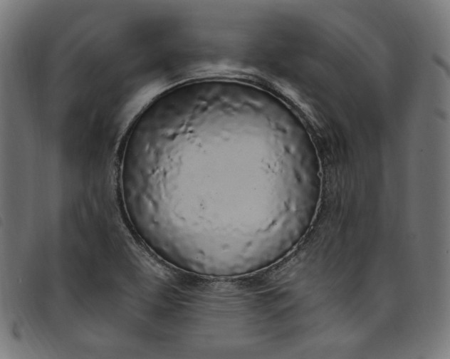 X0000098121463200804251440