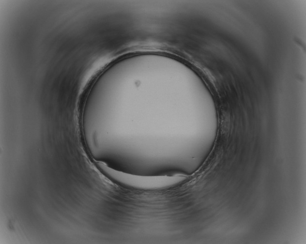 X0000098121464200804251440