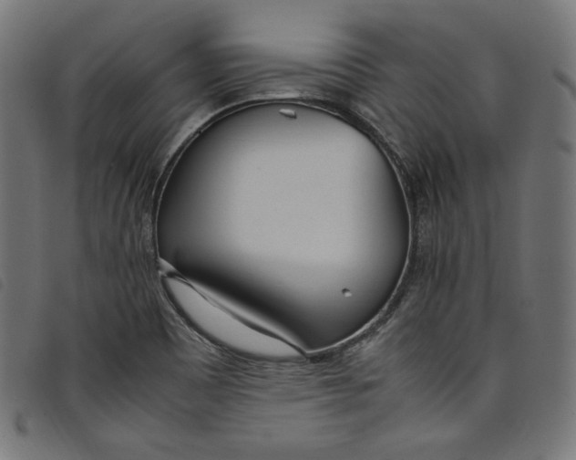 X0000098121465200804251440