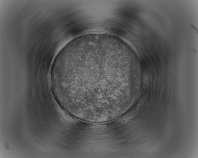 X0000098121466200804251440