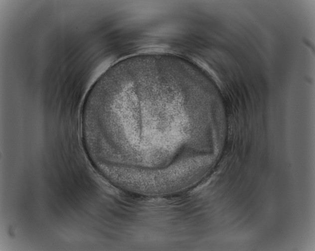 X0000098121467200804251440