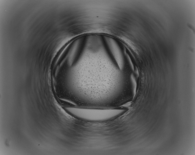 X0000098121468200804251440