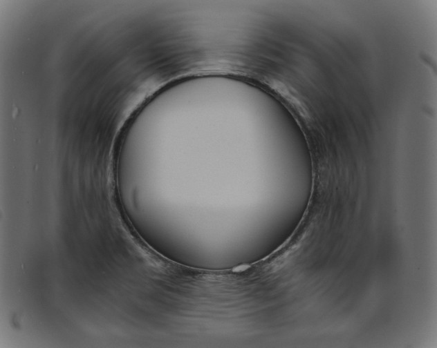 X0000098121469200804251440
