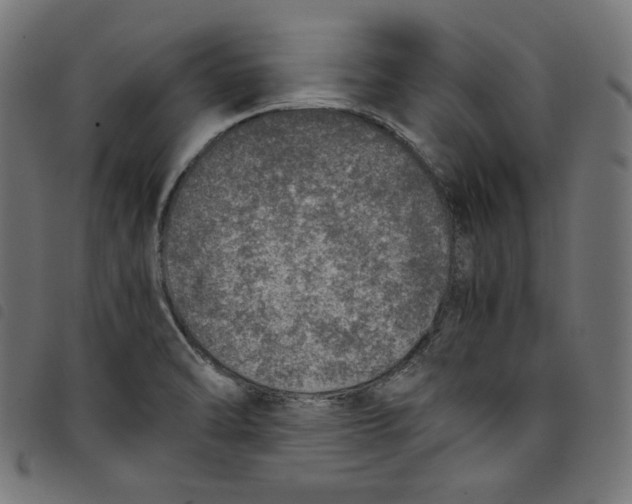 X0000098121470200804251440