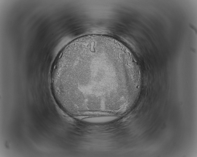 X0000098121471200804251440