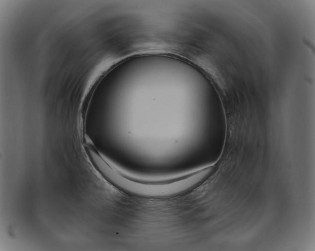 X0000098121472200804251440
