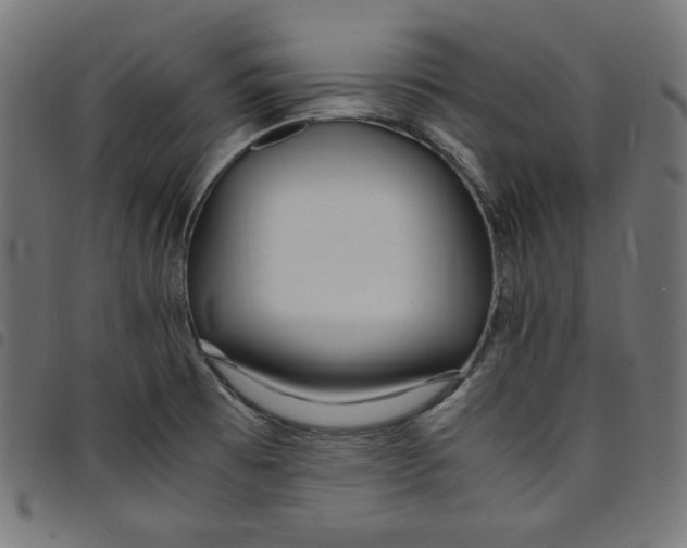 X0000098121473200804251440
